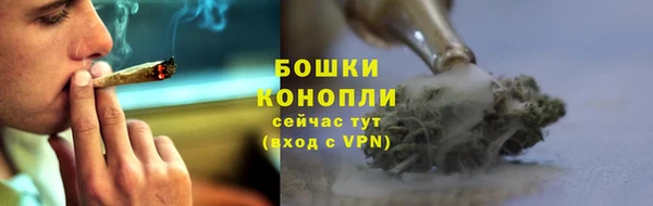 spice Всеволожск
