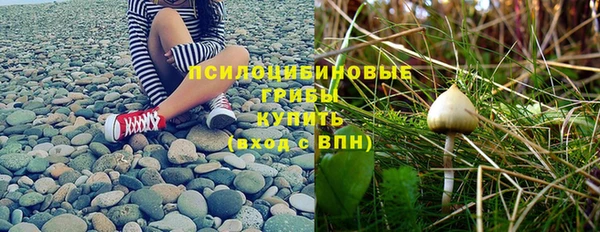 эйфоретик Горняк