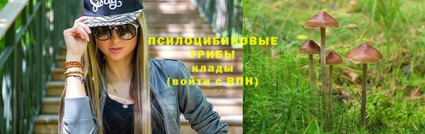мяу мяу кристалл Вуктыл
