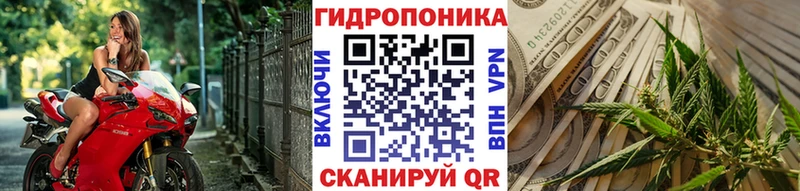 Бошки марихуана SATIVA & INDICA  это как зайти  Короча 